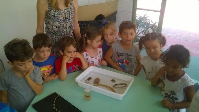 Ciências no Jardim II