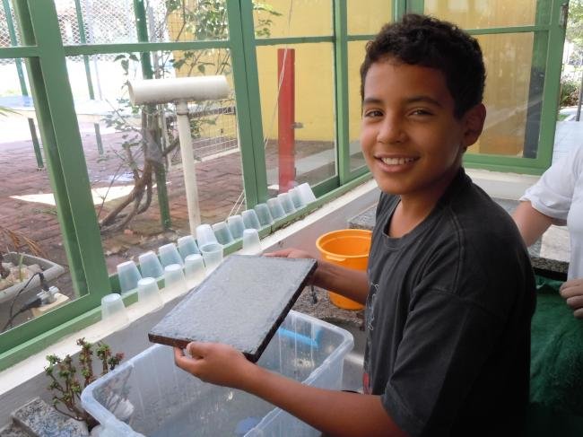 Reciclando no Sítio