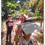 Rumo à Mata Santa Genebra