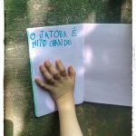 Rumo à Mata Santa Genebra