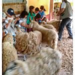 Sítio Duas Cacheiras