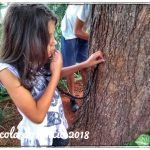 Oficinas de Educação