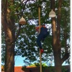 Dia da Família na Escola do Sítio