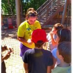 O 3o e seu objeto disparador