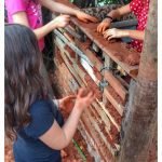 Aula de Sustentabilidade