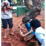 Aula de Sustentabilidade