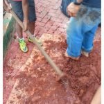 Aula de Sustentabilidade