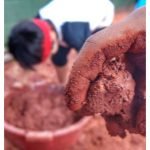 Aula de Sustentabilidade