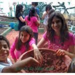 Aula de Sustentabilidade