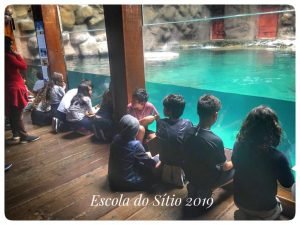 A turma 6º ano visitou o Aquário de São Paulo