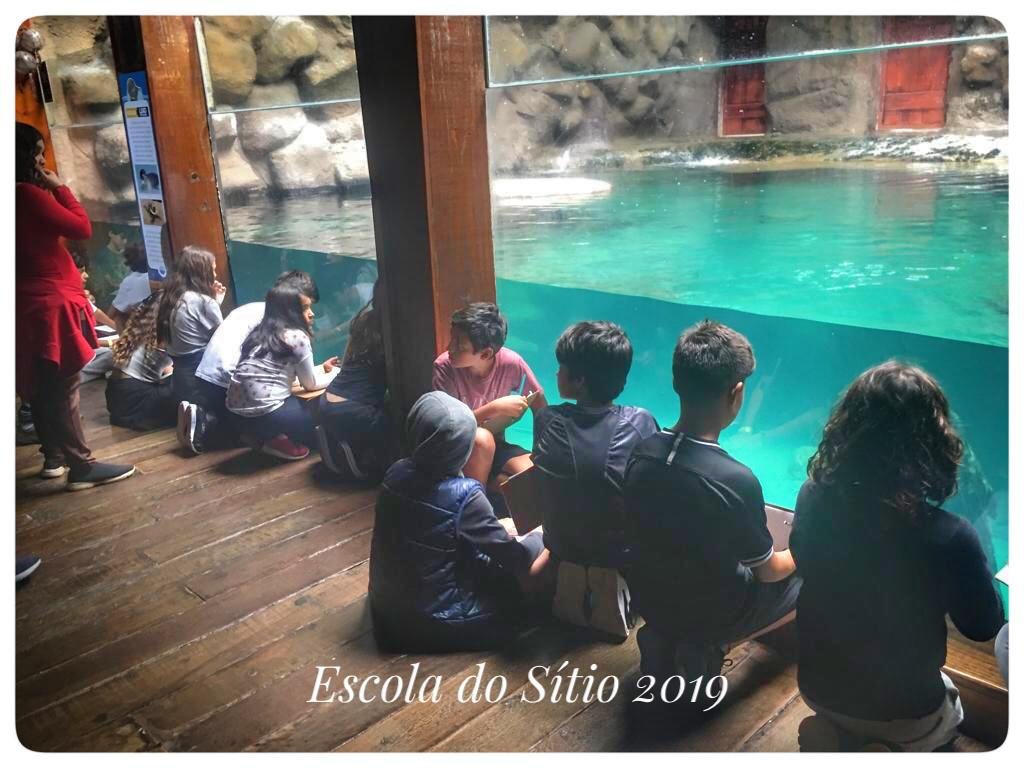 A turma 6º ano visitou o Aquário de São Paulo