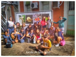 A turma do sétimo ano está conhecendo diversas formas de vida na disciplina de Ciências.