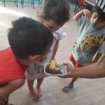 As aves na Escola do Sítio