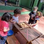 As aves na Escola do Sítio