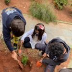 Mata Atlântica, desmatamento e reflorestamento