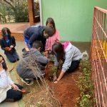 Mata Atlântica, desmatamento e reflorestamento