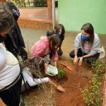 Mata Atlântica, desmatamento e reflorestamento