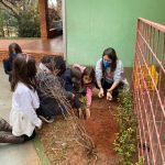 Mata Atlântica, desmatamento e reflorestamento