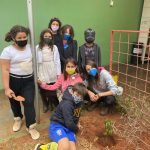 Mata Atlântica, desmatamento e reflorestamento