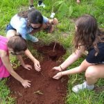 Rompendo o muro da escola