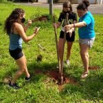 Rompendo o muro da escola