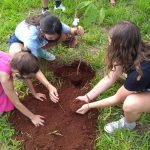 Rompendo o muro da escola