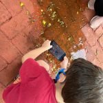 Formação Complementar