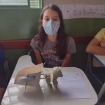 Exposição " RODAS" - 5⁰ Ano