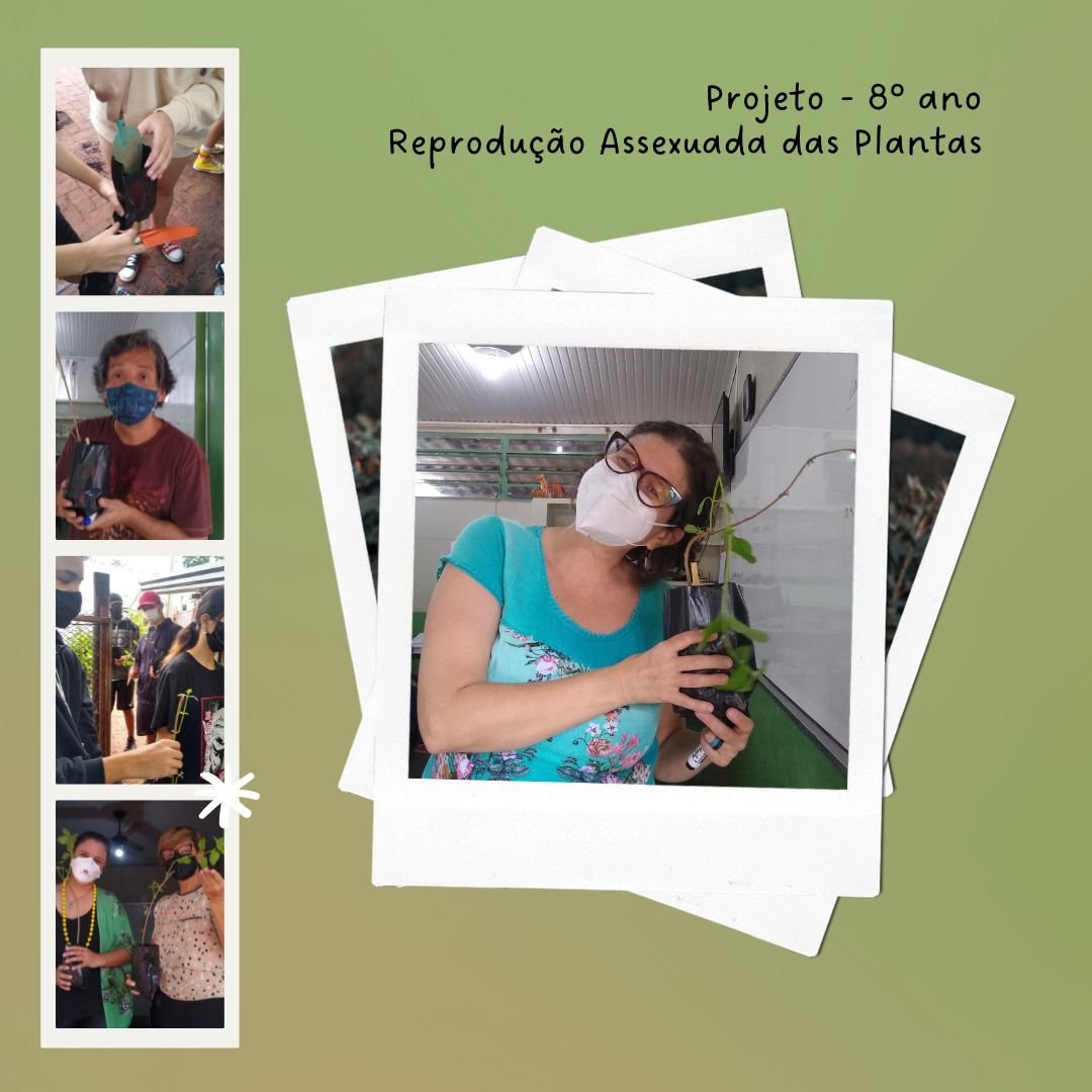 Reprodução assexuada das plantas