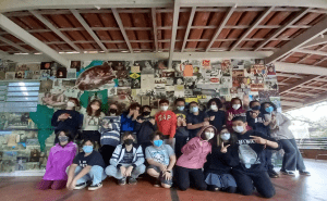 O que é o Sete Notícias?